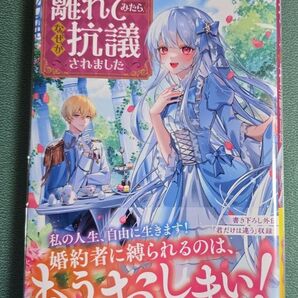 婚約者に嫌われているようなので離れてみたら、なぜか抗議されました (ツギクルブックス) 花々/著