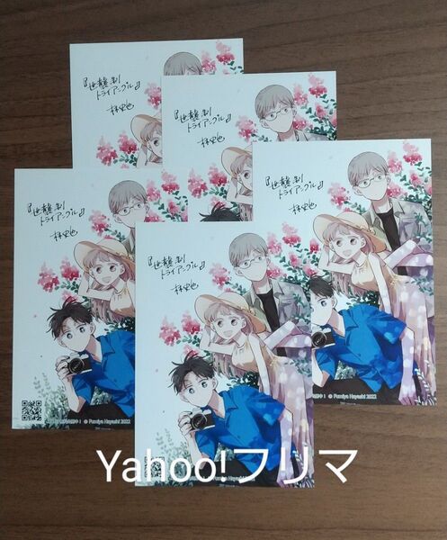 厚紙補強●特典5枚● 世襲制トライアングル イラストカード ポストカード 林史也 ●アニメイト ゲーマーズ 角川コミック応援店限定