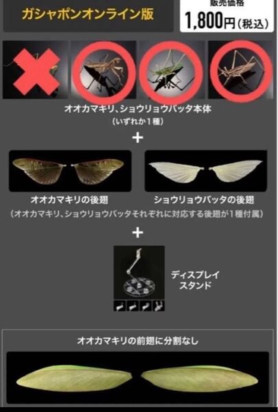 いきもの大図鑑アドバンス オンライン版 オオカマキリ. ショウリョウバッタ