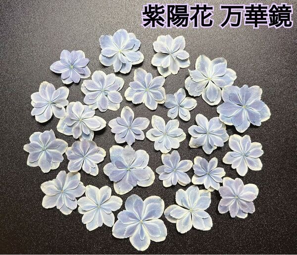 紫陽花 万華鏡 25枚