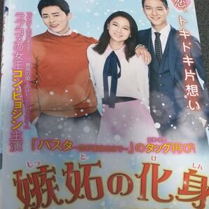 韓国ドラマ 嫉妬の化身 全巻セット レンタル落ち