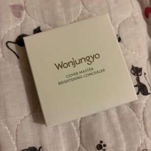 Wonjungyo ウォンジョンヨ カバーマスターブライトニングコンシーラー 02 ピーチイエロー コンシーラー