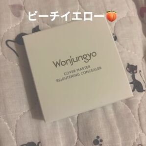Wonjungyo ウォンジョンヨ カバーマスターブライトニングコンシーラー 02 ピーチイエロー コンシーラー