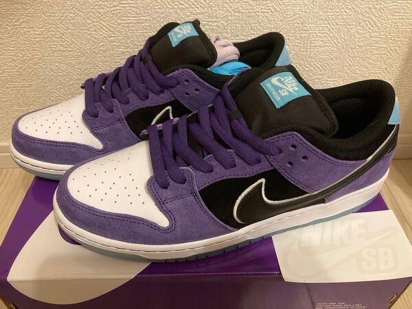 Hayley Wilson Nike SB Dunk Low Court Purple