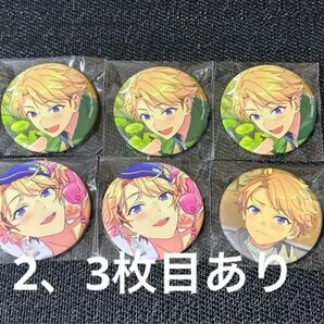 あんスタ 嵐 缶バッジ ぱしゃっつ 41点セット