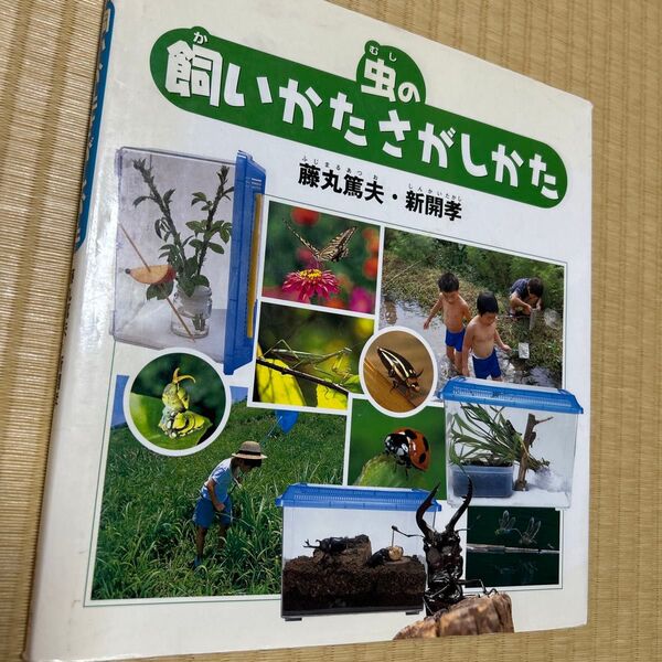 虫の飼いかたさがしかた (福音館のかがくのほん) 藤丸篤夫/〔著〕 新開孝/〔著〕