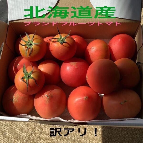 ※お待たせ致しました!今季初!☆北海道産スーパーフルーツトマト訳あり!