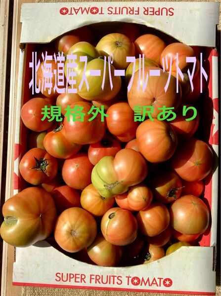 今季初!★北海道産スーパーフルーツトマト規格外!