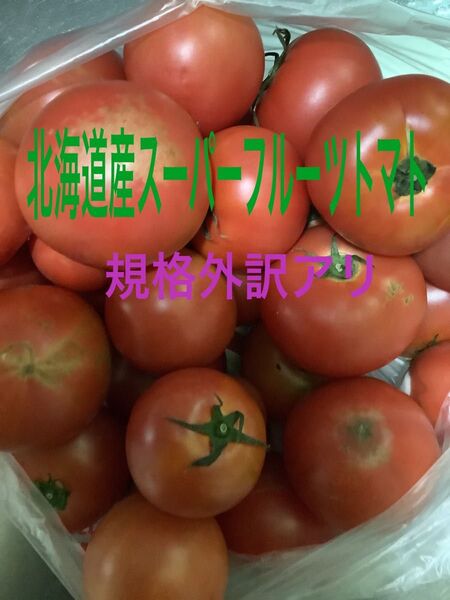 ★お待たせしました!今季初!☆北海道産スーパーフルーツトマト規格外訳あり