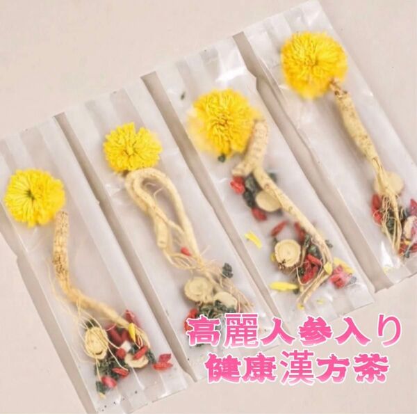 健康茶 高麗人参一本入り菊花クコ茶5g×5袋