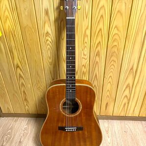 アコースティックギター Fender DG24 MA