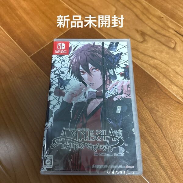 新品 Nintendo Switch AMNESIA LATER×CROWD アムネシア
