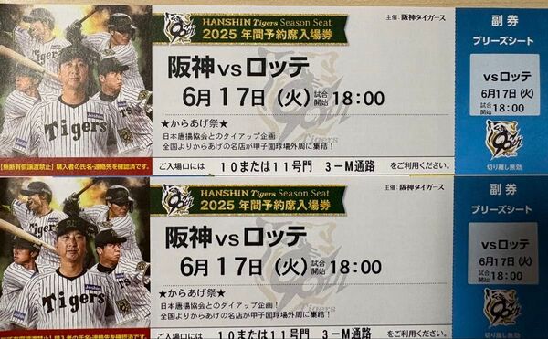 阪神vsロッテ 6月17日(火) 阪神甲子園球場 18時開始ブリーズシート(3塁側)2枚並び 中止補償あり