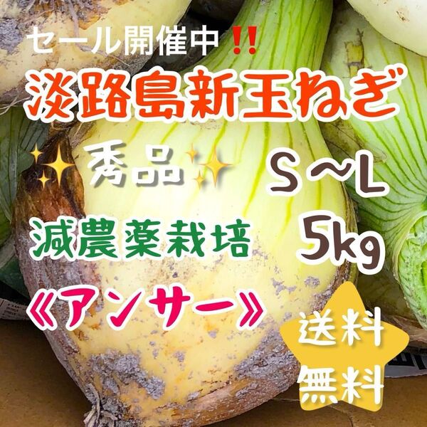 淡路島新玉ねぎ アンサー 5キロ 5kg 減農薬栽培 安心 安全 美味しい 農家直売 甘い 新玉