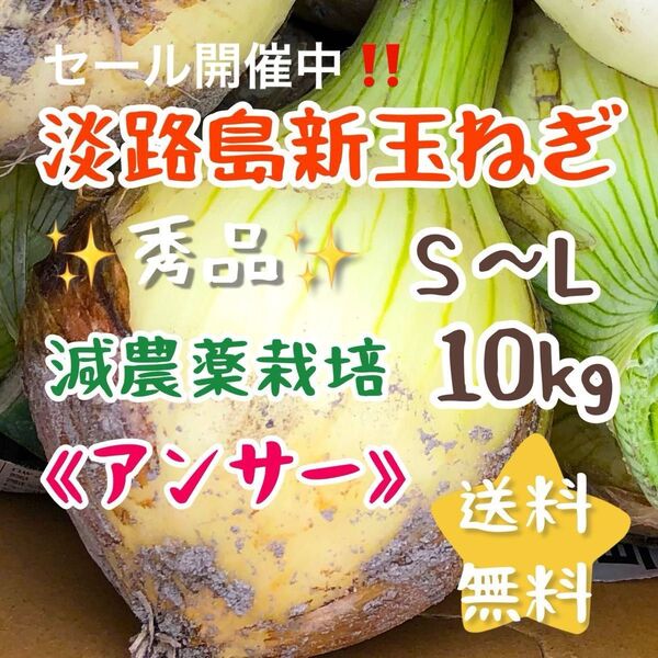 淡路島新玉ねぎ アンサー 10キロ 10kg 減農薬栽培 安心 安全 美味しい 農家直売 甘い 新玉