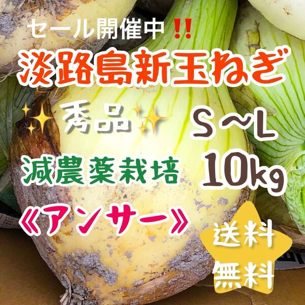 淡路島新玉ねぎ アンサー 10キロ 10kg 減農薬栽培 安心 安全 美味しい 農家直売 甘い 新玉