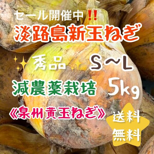 淡路島新玉ねぎ 泉州黄玉ねぎ 5キロ 5kg 美味しい 甘い 減農薬栽培 健康 新鮮 農家直送 減農薬 安心 伝統 ギフトにも