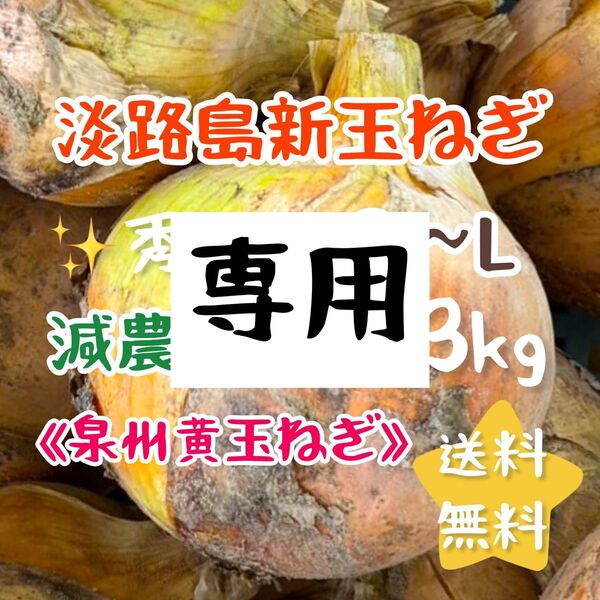 【専用】淡路島新玉ねぎ 泉州黄玉ねぎ 5キロ 5kg 美味しい 甘い 減農薬栽培 健康 新鮮 農家直送 減農薬 安心