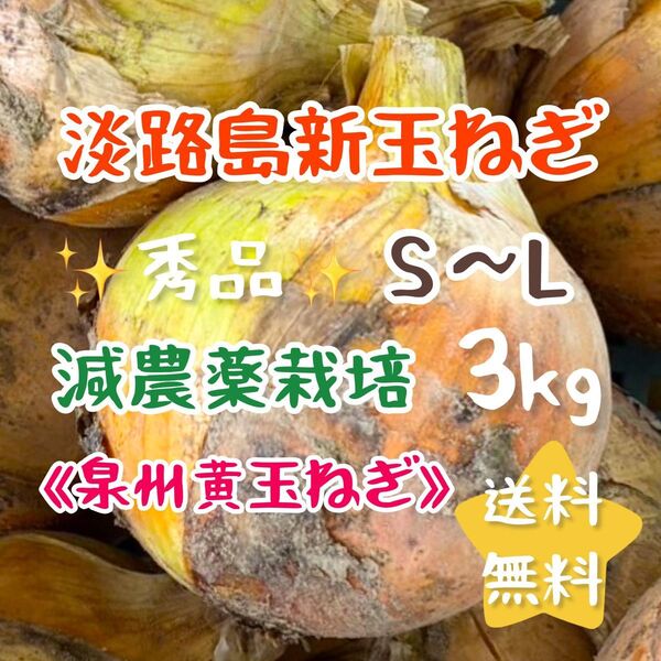 淡路島新玉ねぎ 泉州黄玉ねぎ 3キロ 3kg 美味しい 甘い 減農薬栽培 健康 新鮮 農家直送 減農薬 安心 伝統 ギフトにも