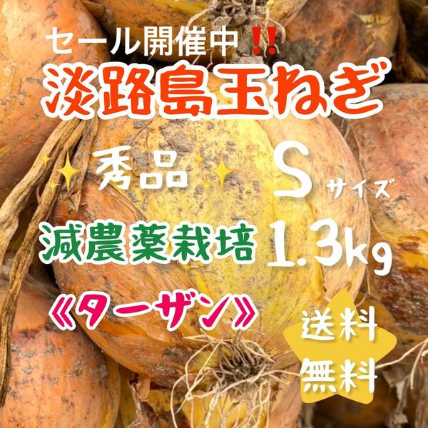 淡路島玉ねぎ 減農薬栽培 1.3kg ミニサイズ 1kg 甘い 美味しい 農家直売 使い切り お試し ターザン