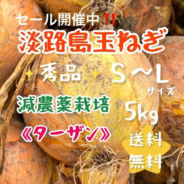淡路島玉ねぎ 減農薬栽培 5kg 甘い 美味しい 農家直売 お試し ターザン