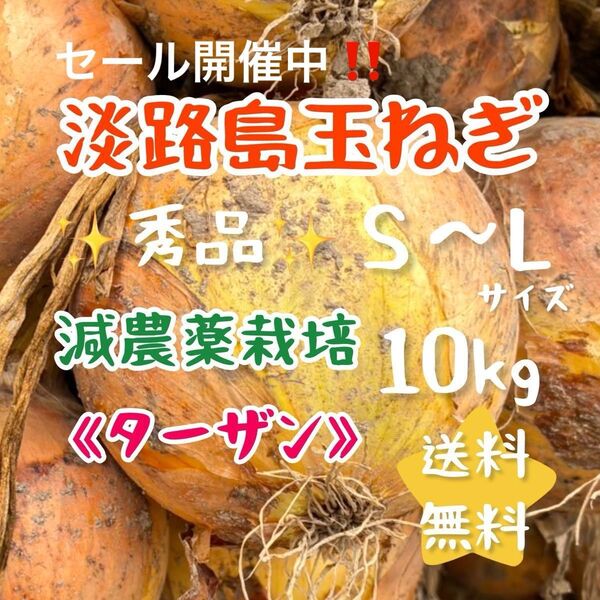 淡路島玉ねぎ 減農薬栽培 10キロ 10kg 美味しい ターザン 甘い お試し 農家直売