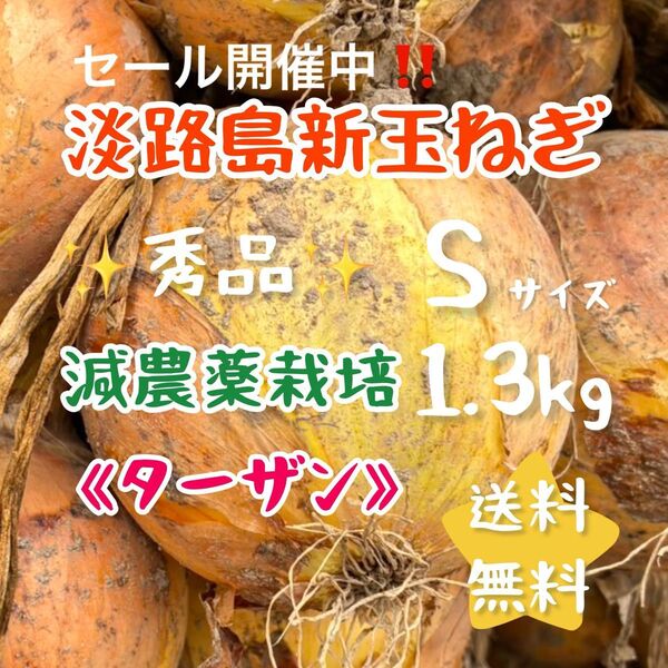 淡路島玉ねぎ 減農薬栽培 1.3kg ミニサイズ 1kg 甘い 美味しい 農家直売 使い切り お試し ターザン