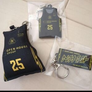 群馬クレインサンダーズ 25番 ケーレブ・ターズースキー キーホルダー