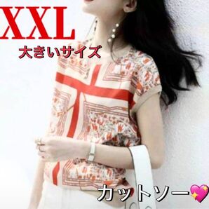 半袖 tシャツ カットソー ブラウス 体型カバー 綺麗 赤 レッド 韓国 大きいサイズ