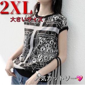 半袖 tシャツ カットソー ブラウス 体型カバー 綺麗 黒 ブラック 韓国 大きいサイズ