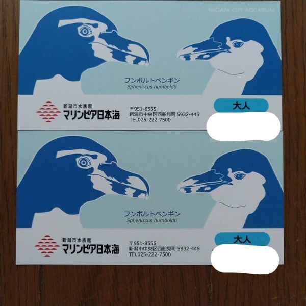 マリンピア日本海 入館券 入場券 大人2枚 チケット