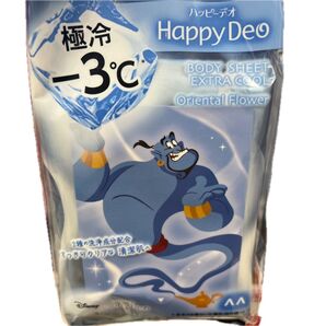 ボディシート 未使用