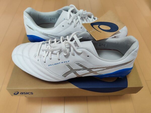 asics DS LIGHT X-FLY 5 1101A047-106【28.5cm】