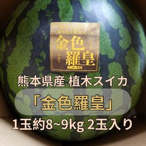 熊本県産 植木スイカ 「金色羅皇」1玉約8~9kg 2玉入り