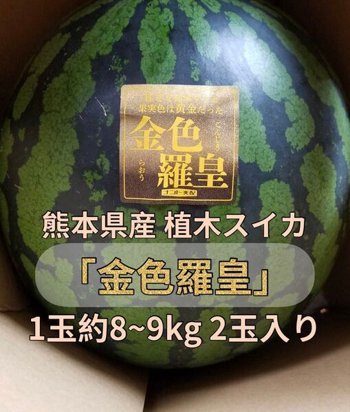 熊本県産 植木スイカ 「金色羅皇」1玉約8~9kg 2玉入り