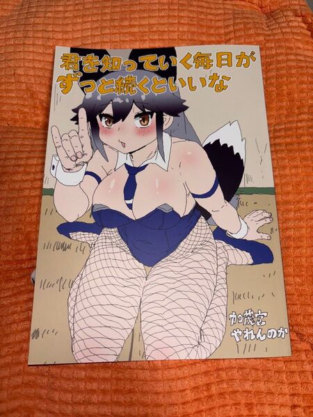 同人誌けものフレンズ ギンギツネ