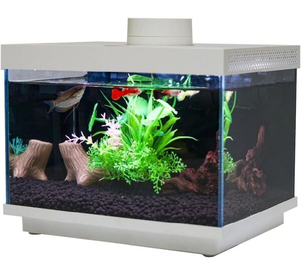 多機能水槽☆FiSH-α2 小型 オールインワン 水槽 6.9L コンパクト 20-30°C温度設定 給餌機能 ガラス製