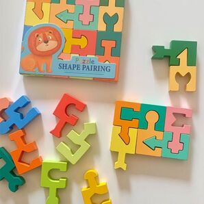 知育玩具 木のおもちゃ 型はめパズル 図形 モンテッソーリ 形 カラフル 新品