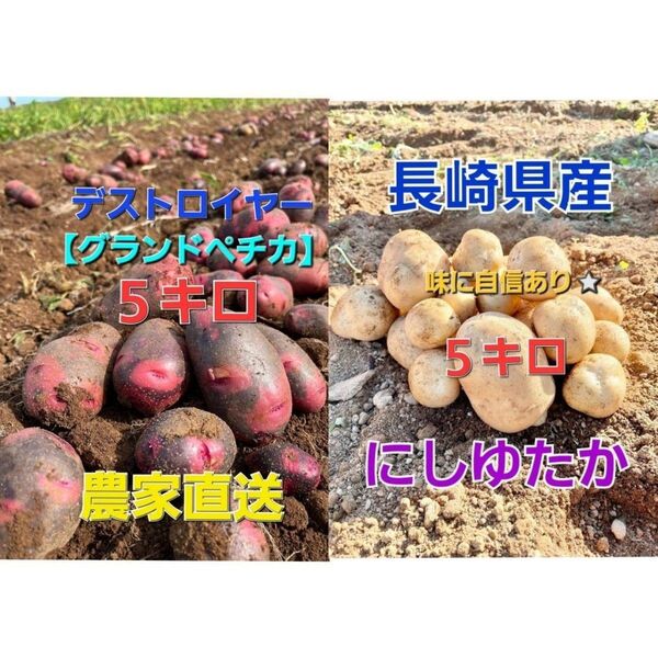 長崎県産 新じゃがいも にしゆたか デストロイヤー 詰め合わせ 箱込み10キロ