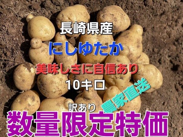 長崎県産 じゃがいもB品 にしゆたか 箱込み10キロ