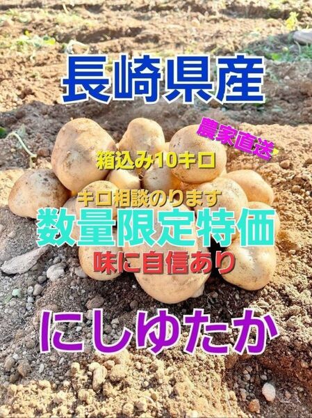 長崎県産 じゃがいもA品 にしゆたか 箱込み10キロ