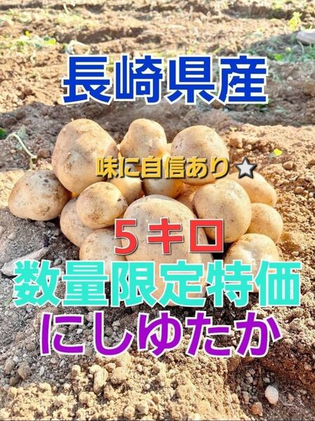 長崎県産 じゃがいもA品 にしゆたか 箱込み5キロ