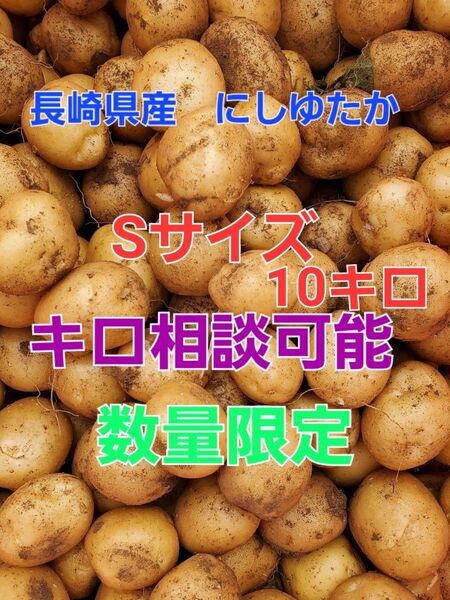 長崎県産 じゃがいも にしゆたか Sサイズ 箱込み10キロ