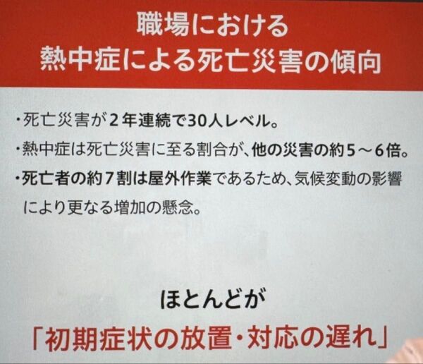 ドデカ塩飴 100個入 ソルト&ライチ お徳用 塩ライチ飴 お菓子 ソルトライチ 業務用 個包装 食べたらやみつき!後味スッキリ!
