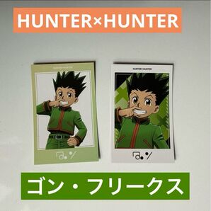 クーポンでお得にゲット!HUNTER×HUNTER描き下ろしフォトカードコレクション ゴン・フリークス2枚