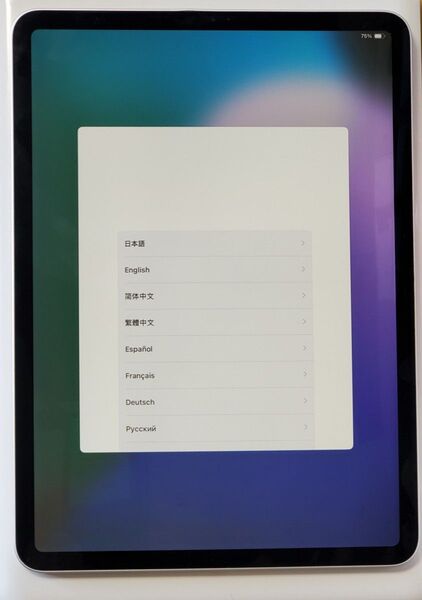 iPad Pro 11インチ シルバー 第1世代 Wi-Fiモデル 64GB 訳あり