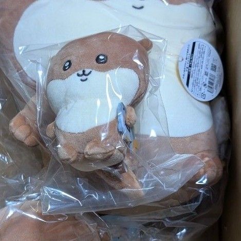ぬいぐるみ カワウソ マスコット 「ナガノのカワウソ ぬいぐるみくじ」 D賞