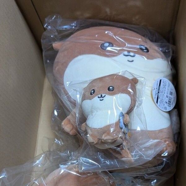ぬいぐるみ カワウソ ぬいぐるみL 「ナガノのカワウソ ぬいぐるみくじ」 B賞