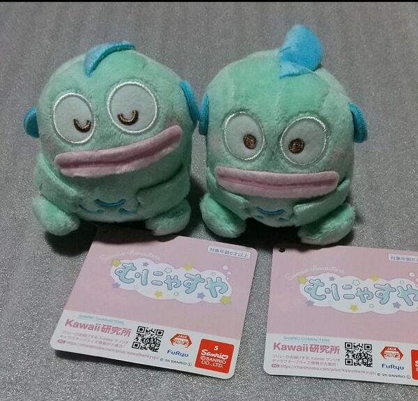 【新品タグ付き】サンリオキャラクターズむにゅすやマスコットハンギョドン 2種2こ