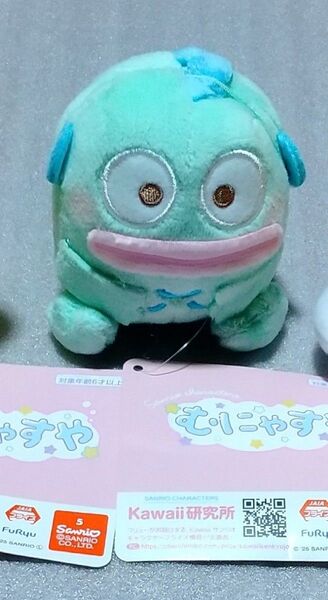 【新品タグ付き】サンリオキャラクターズむにゅすやマスコットハンギョドン